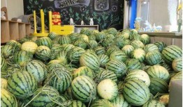 免费吃瓜,揭秘娱乐圈幕后故事