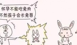 怀孕可以吃兔儿瓜吗,兔儿瓜的适宜与禁忌