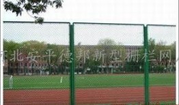 操场护栏吃瓜,揭秘校园里的热点事件