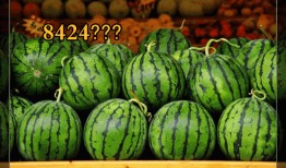 答题吃瓜,揭秘娱乐圈幕后真相