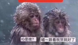 吃鲜瓜,尽享清凉美味时光