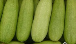 吃白瓜补啥,吃白瓜补什么？