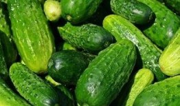 有什么瓜吃呢,盘点那些让人津津乐道的八卦新闻