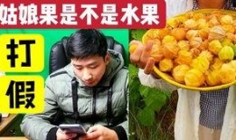 大杨小杨吃瓜,大杨小杨瓜田奇遇记