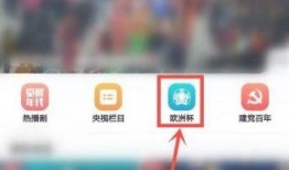 顺德吃瓜新闻视频回放,一场引人入胜的社区事件回顾