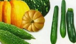 吃瓜左江,一场关于美食与文化的盛宴