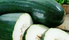 附子瓜老了可以吃吗,附子瓜成熟后的食用价值与注意事项