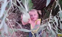 瓜吃球球,一场别开生面的互动游戏体验