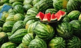 瓜西吃不我,一场不期而遇的美食探险之旅