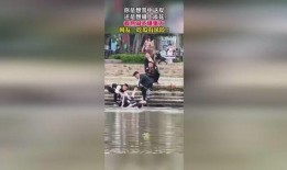 讽刺吃瓜群众视频,揭秘网络时代的“旁观者”心态