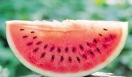 1118蛆虫吃瓜,蛆虫狂欢，瓜果盛宴