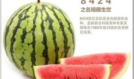 大林子吃瓜爆料,娱乐圈那些不为人知的瓜料大揭秘