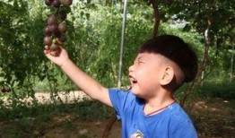 李萧吃瓜,揭秘娱乐圈幕后故事