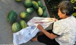 郓城吃瓜事件最新