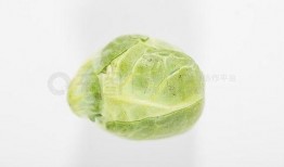 吃瓜素材大全,揭秘娱乐圈幕后真相与趣味瞬间