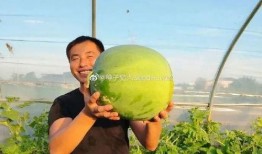 坐在前面吃瓜,揭秘娱乐圈幕后风云