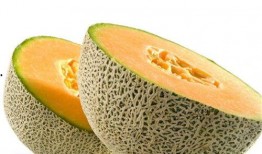 吃海牛哈密瓜价格,探寻美食界的珍品价格之谜