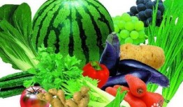 瓜仔菜可以吃吗怎么吃,美味与健康的完美结合