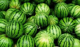 吃瓜你吃什么瓜,揭秘各式瓜果的美食之旅