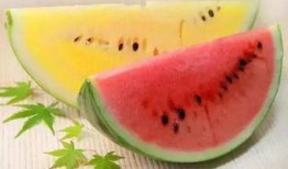 大雨吃瓜完结文