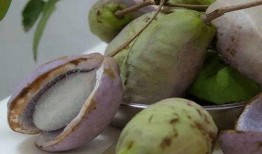 瓜婆娘吃八月瓜,一场味蕾与自然的邂逅