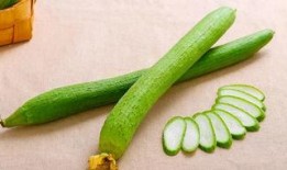 孩子吃三瓜,孩子健康成长的秘密武器