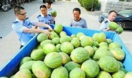 米兰吃瓜群,一场场精彩纷呈的时尚圈风云