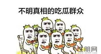 吃瓜群众南宁,吃瓜群众眼中的城市风采