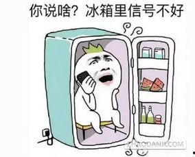 吃瓜讲的是真是假,是真是假，一探究竟