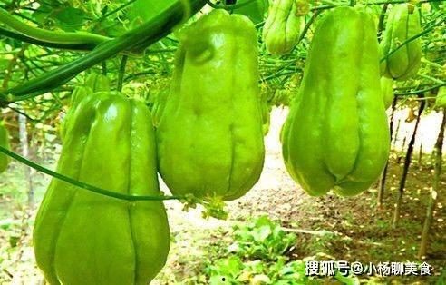 诚实吃瓜38岁,揭秘娱乐圈那些不为人知的真相