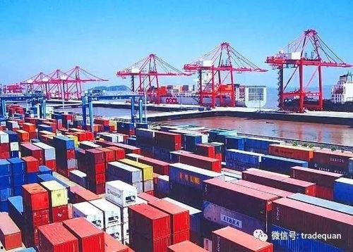 宁波货代吃瓜,揭秘吃瓜背后的风云涌动
