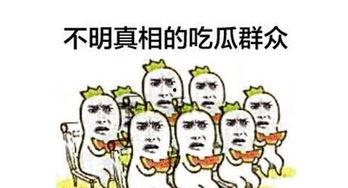 训斥吃瓜群众,请勿随意评头论足